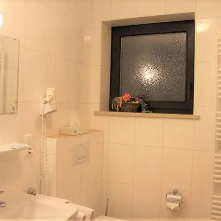 Alpenhotel Brennerbascht Бишофсвизен
